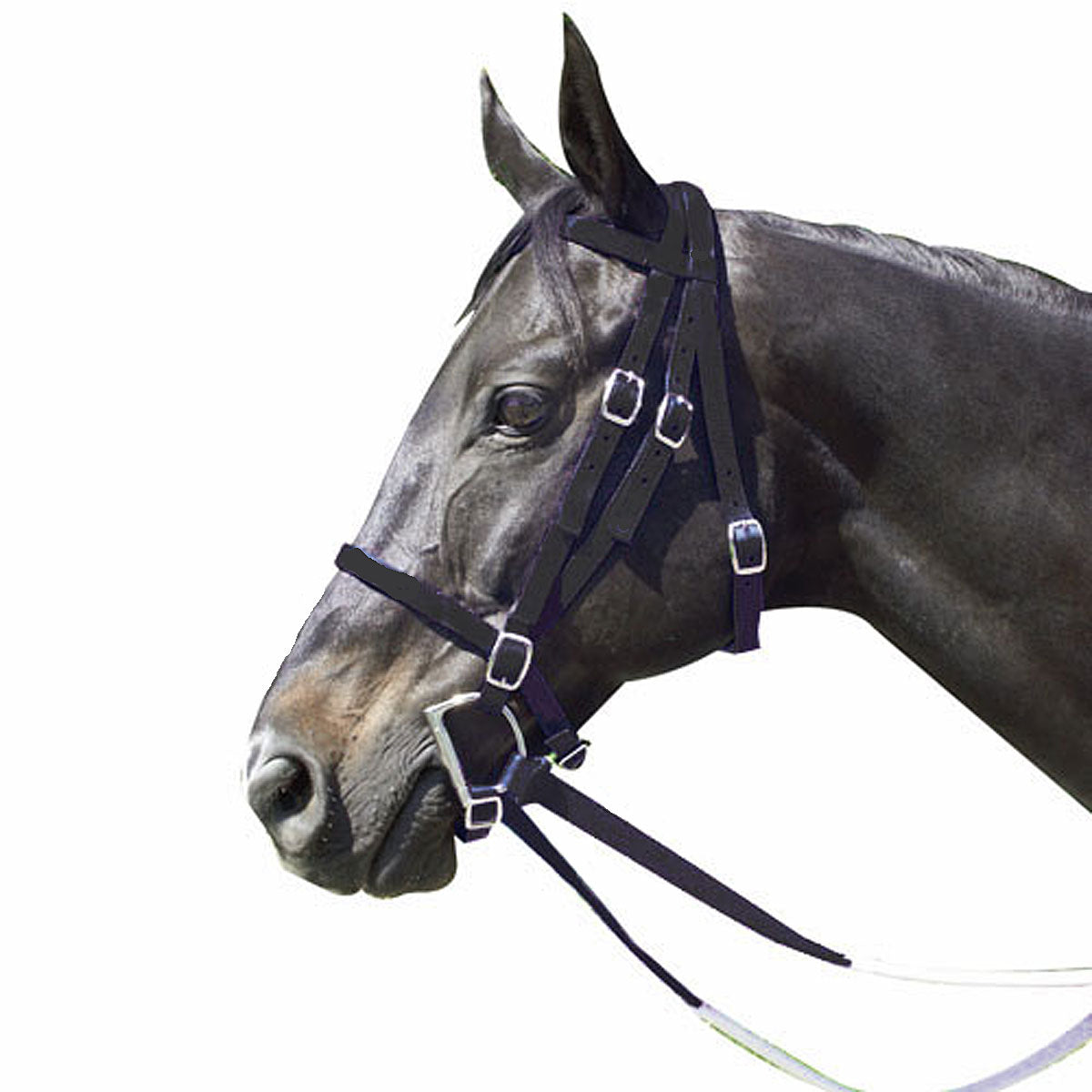 Nylon Race Horse Bridle with Rubber Reins and Curb Strap