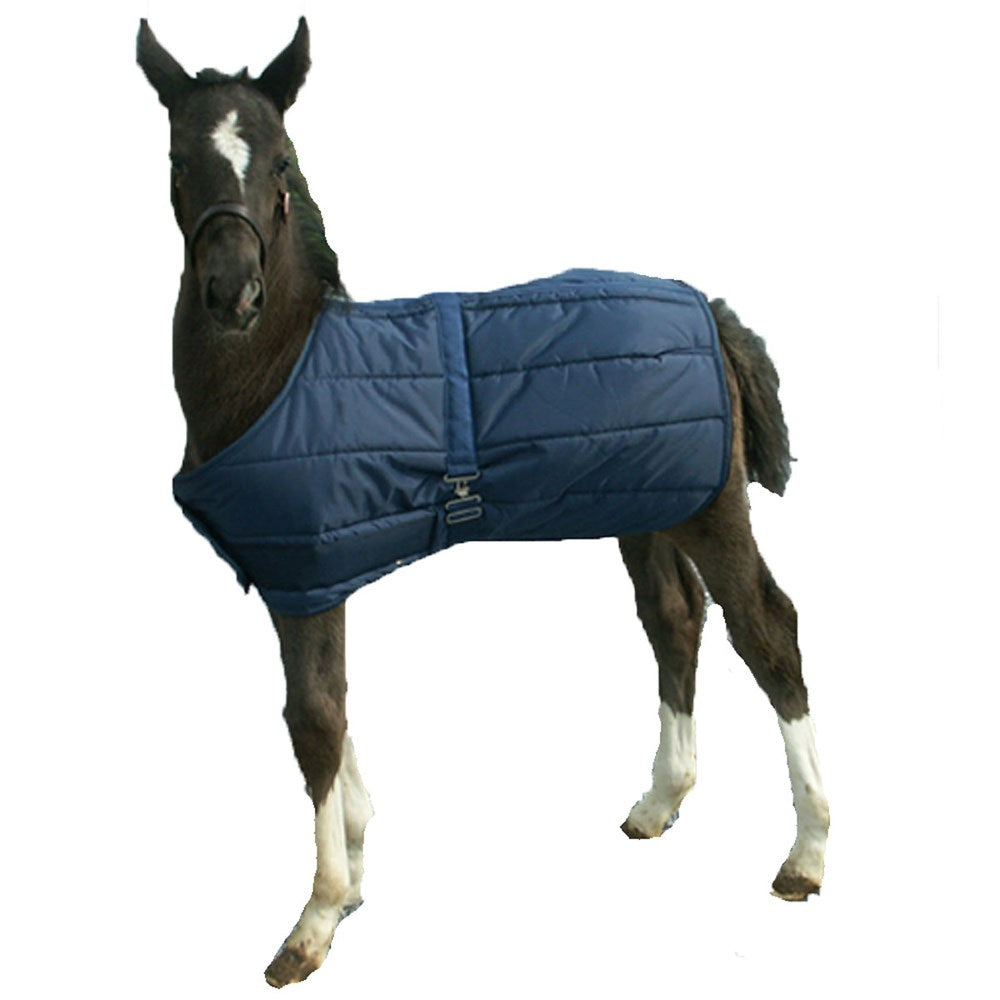 Horse Wear