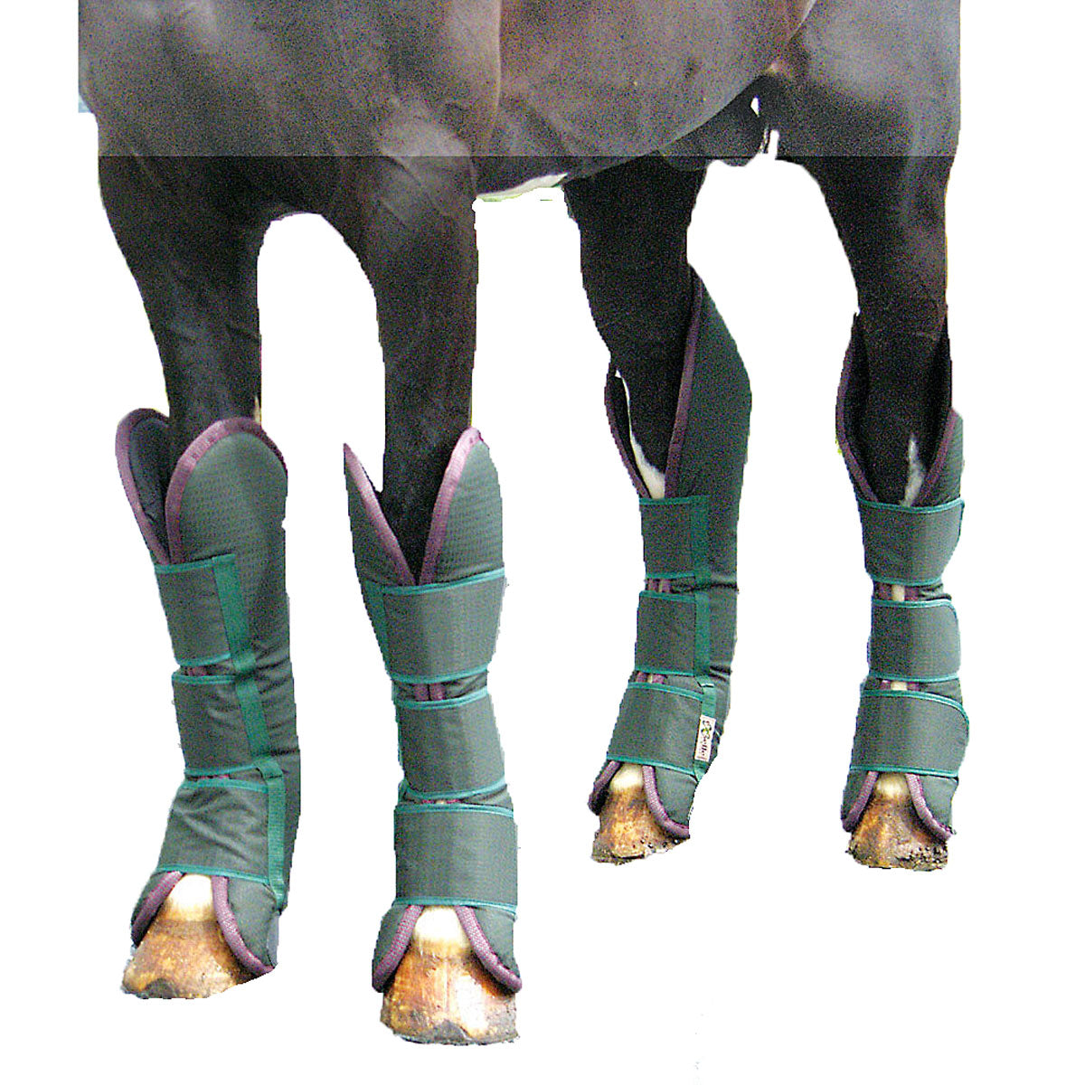 Equine hot sale shipping boots