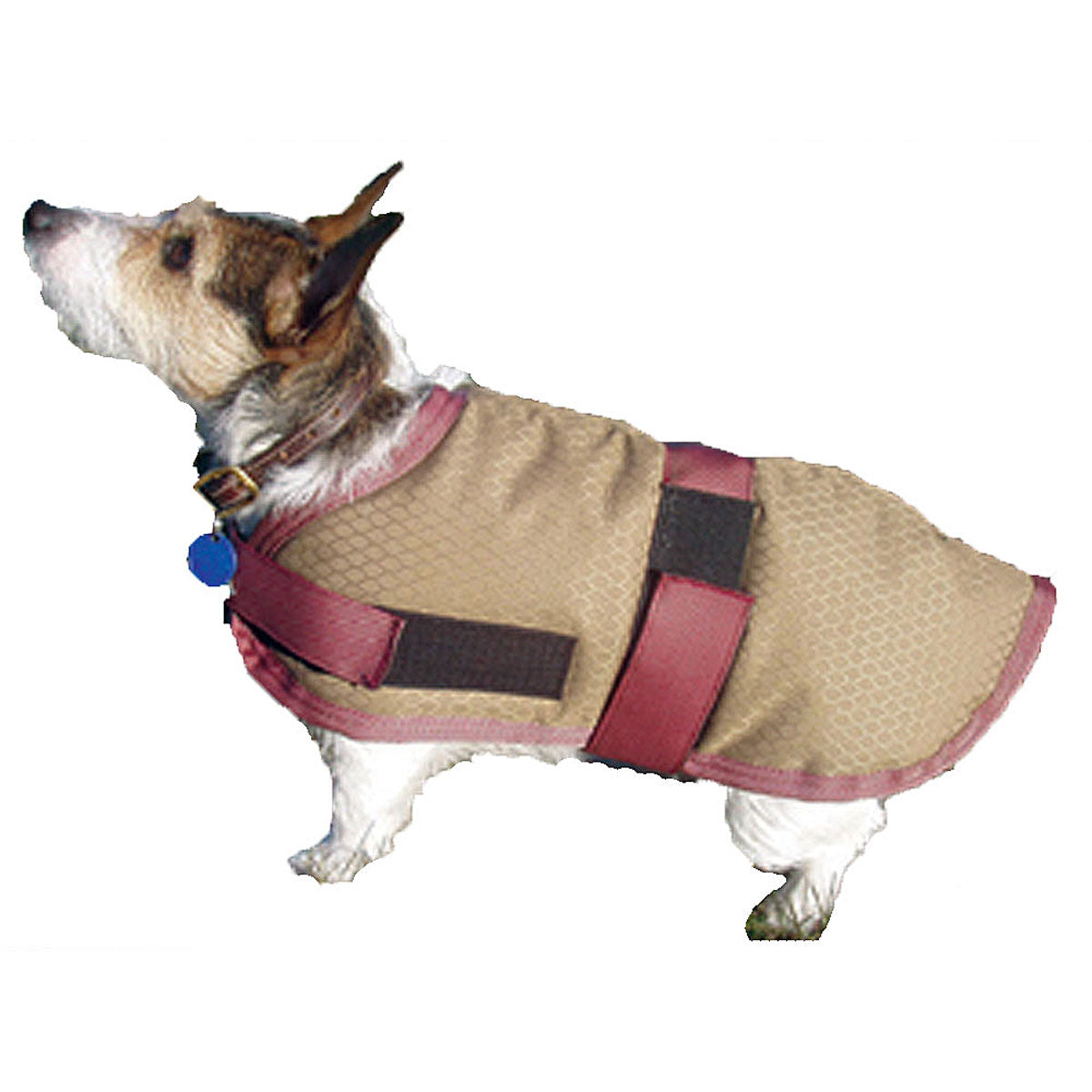 Waterproof insulated shop dog coat