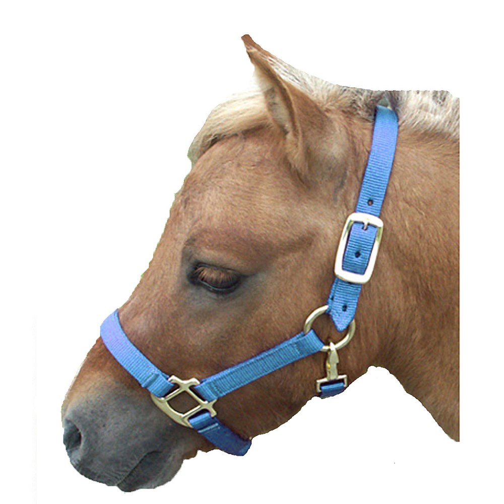 Wholesale Horse Tack & Horse Supplies | Intrepid International